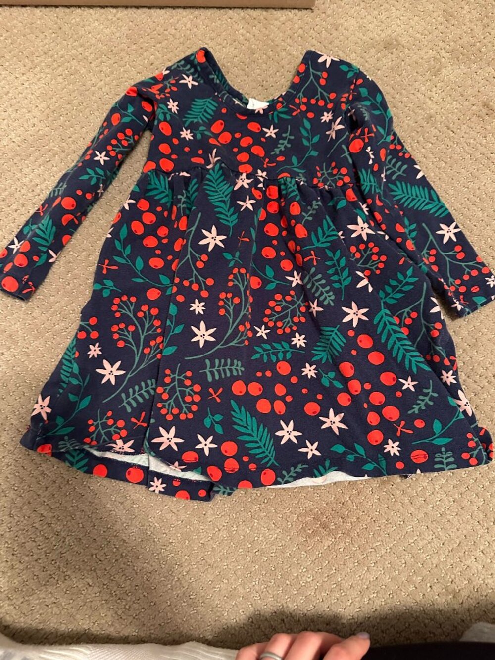 Hanna Andersson Girls 3T Navy Holiday Floral Berry Long Sleeve Dress